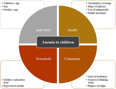 Inequalities in anemia among Peruvian children aged 6–59 months: A decomposition analysis